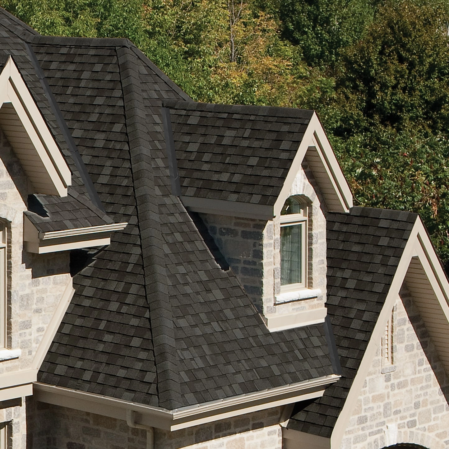 Biltmore Architectural Shingles