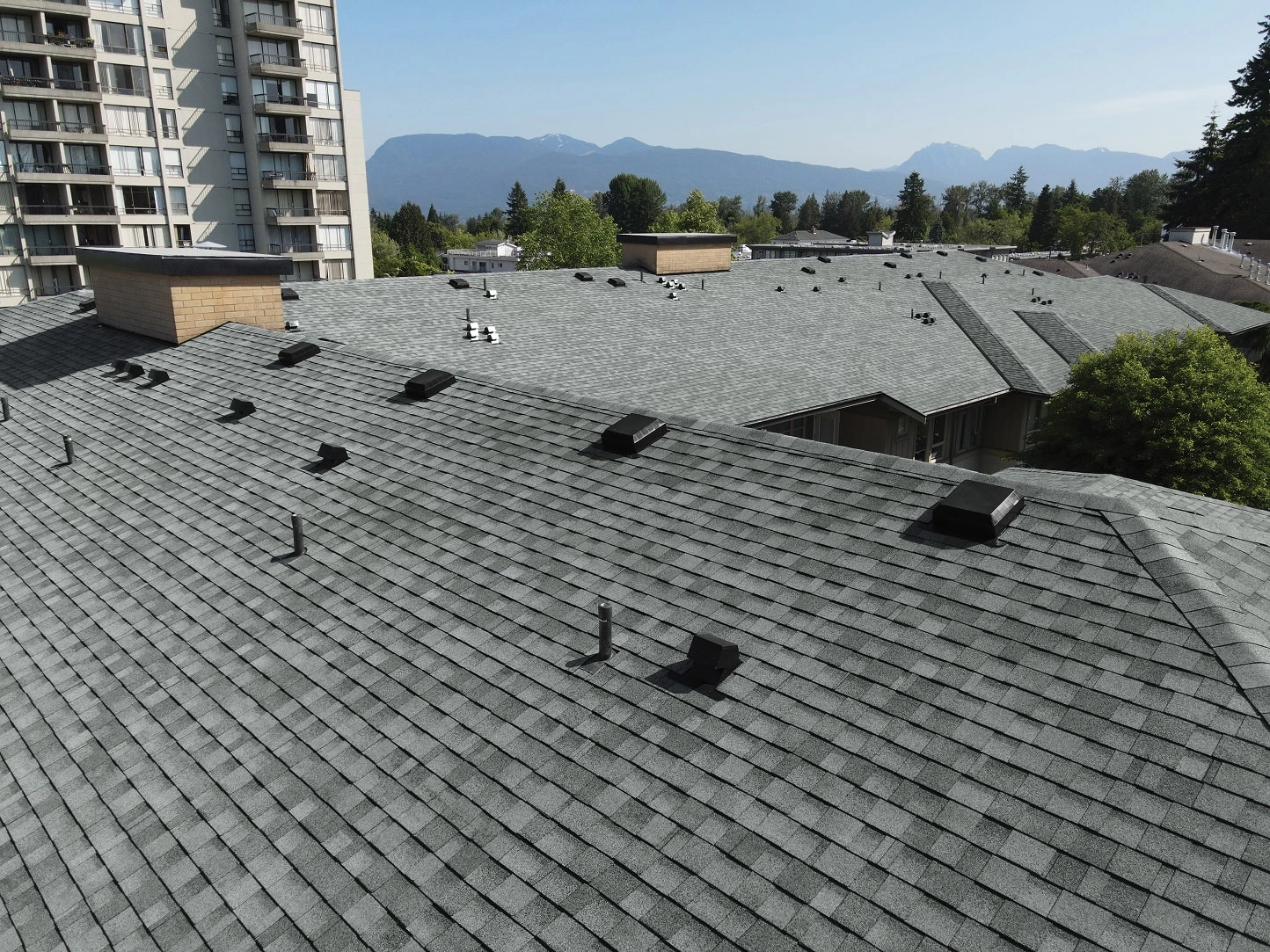 Regency Architectural Shingles